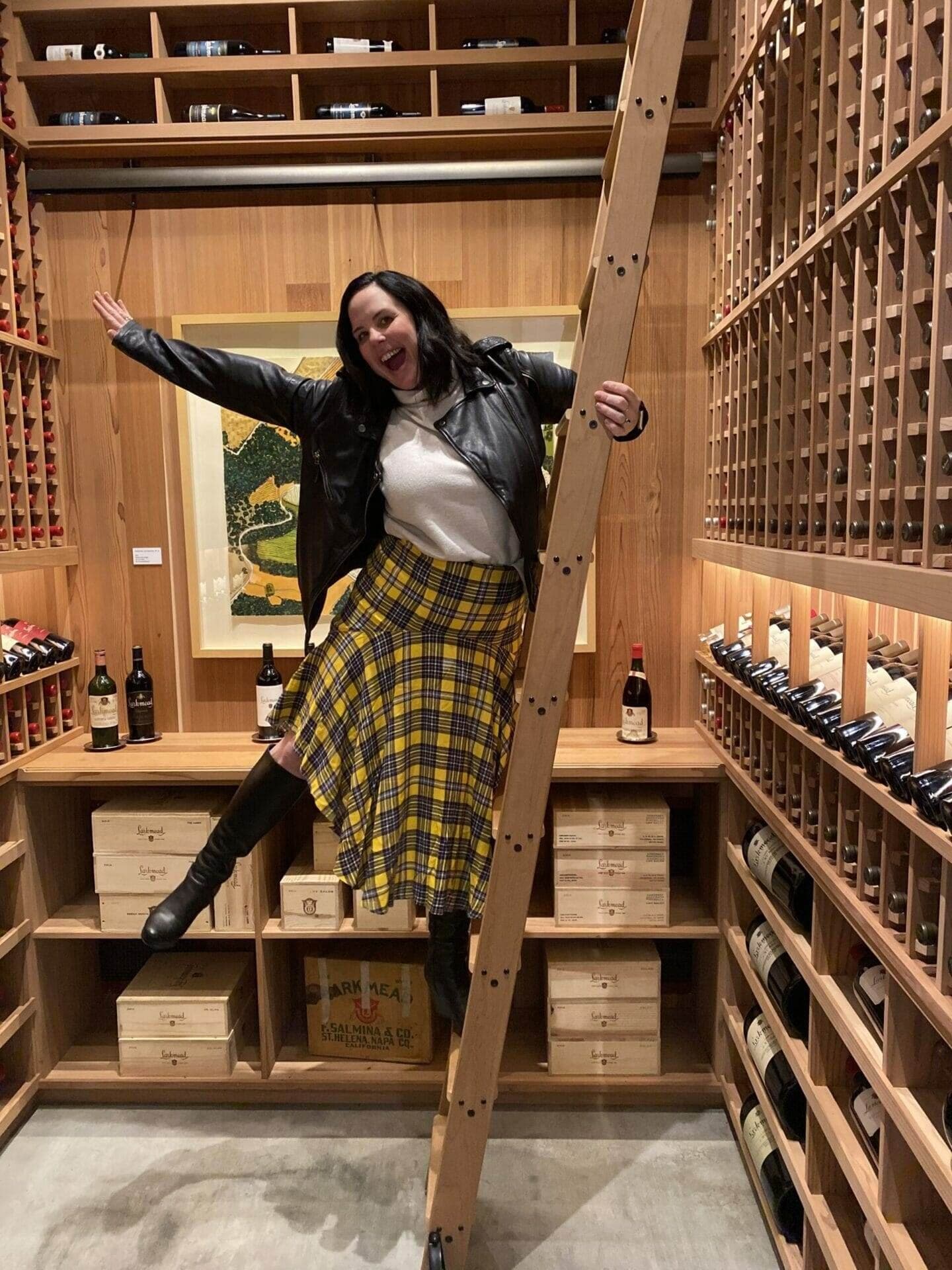 Woman in a plaid skirt posing playfully on a cellar ladder