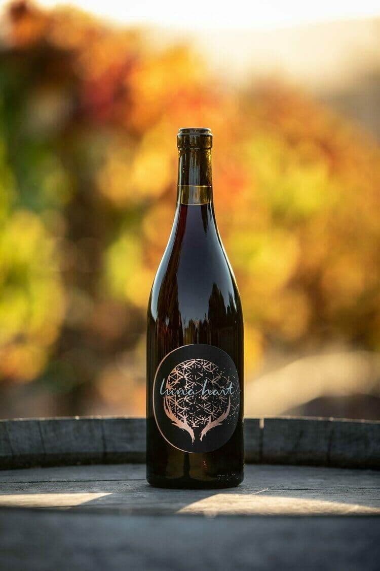 Luna Hart Cabernet Franc bottle backlit against autumn vineyard foliage