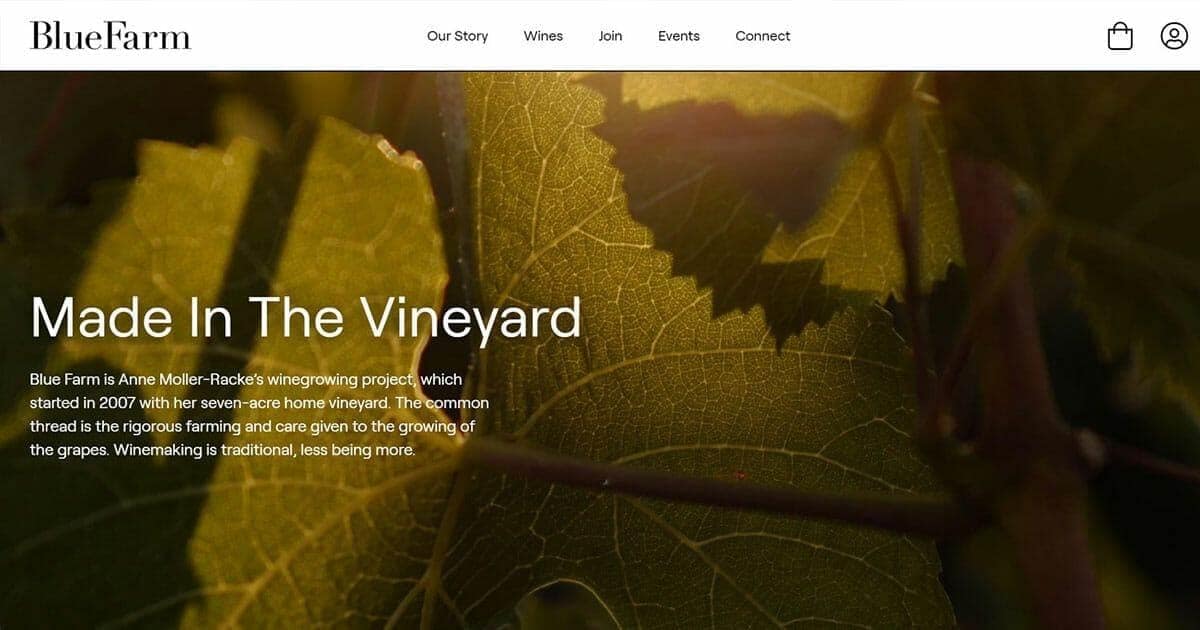 Screenshot of the BlueFarm winery website homepage with vine leaf photo